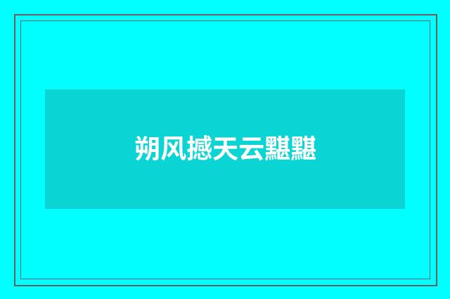 朔风撼天云黮黮