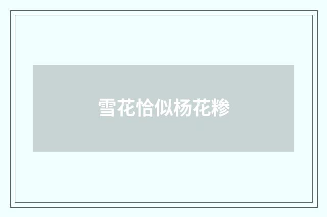 雪花恰似杨花糁