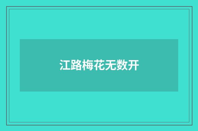江路梅花无数开