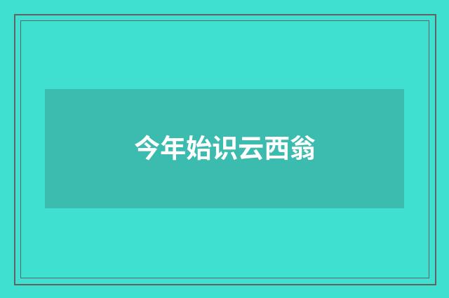今年始识云西翁
