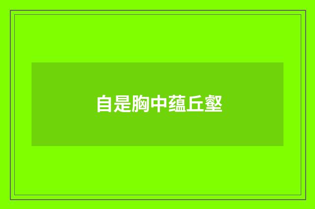 自是胸中蕴丘壑