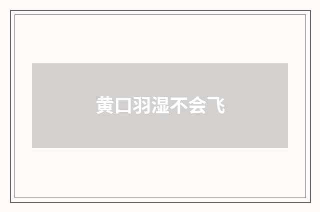 黄口羽湿不会飞