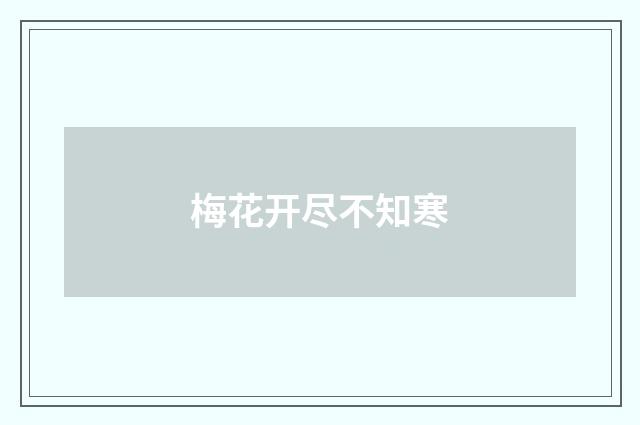 梅花开尽不知寒