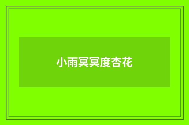 小雨冥冥度杏花