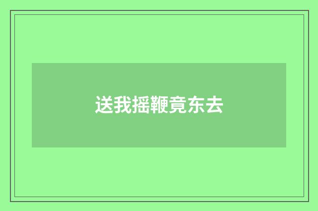 送我摇鞭竟东去
