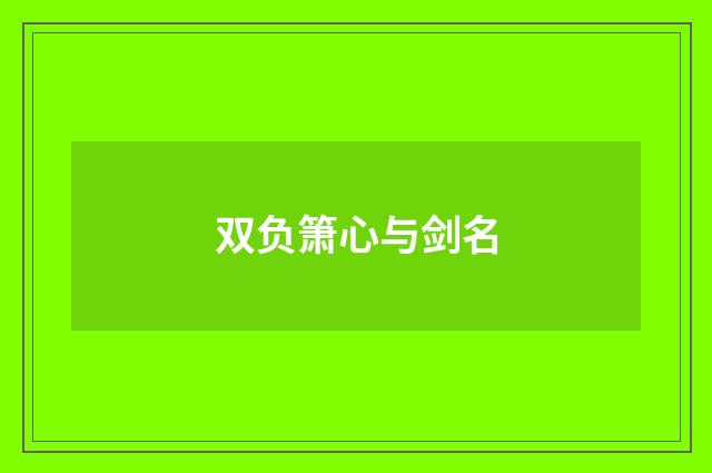双负箫心与剑名