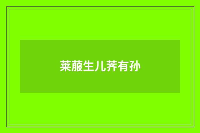 莱菔生儿荠有孙