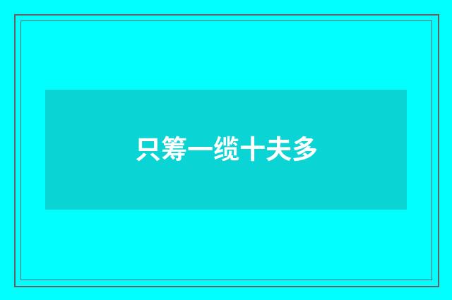 只筹一缆十夫多