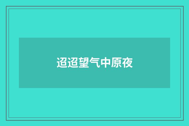 迢迢望气中原夜