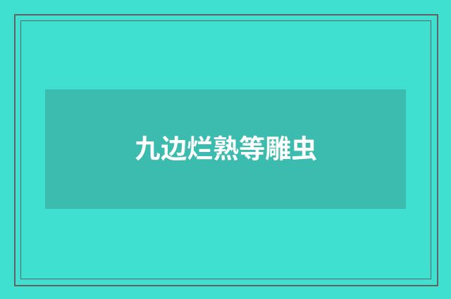 九边烂熟等雕虫