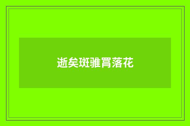 逝矣斑骓罥落花