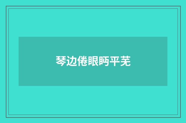 琴边倦眼眄平芜