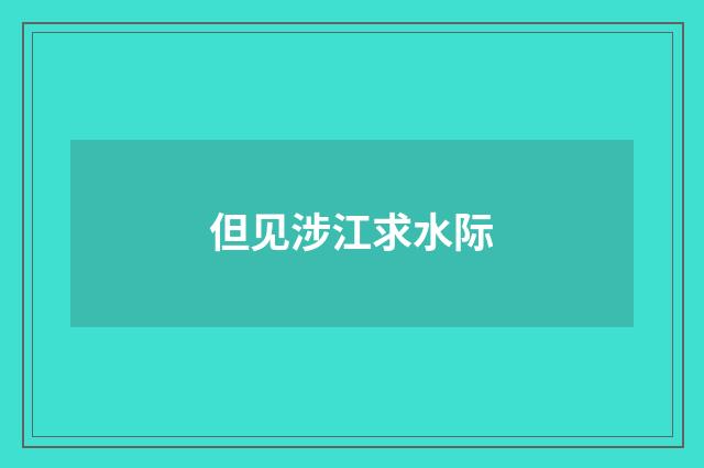 但见涉江求水际