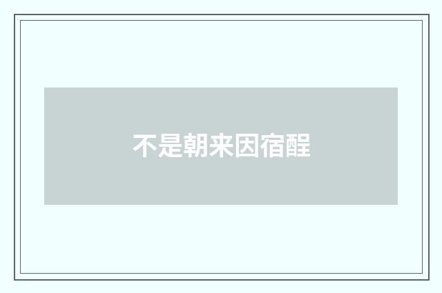 不是朝来因宿酲