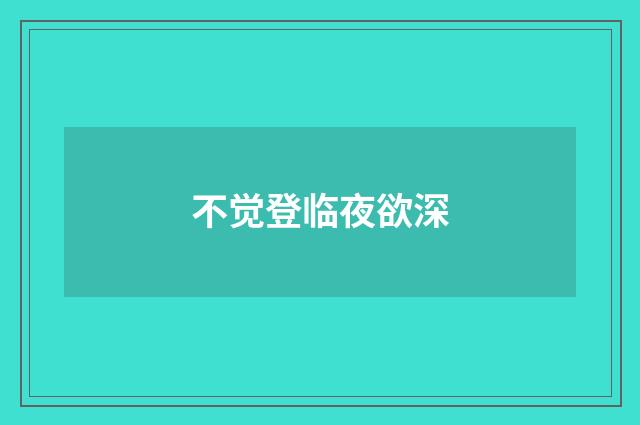 不觉登临夜欲深