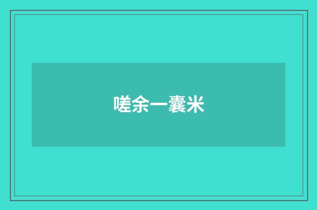 嗟余一囊米