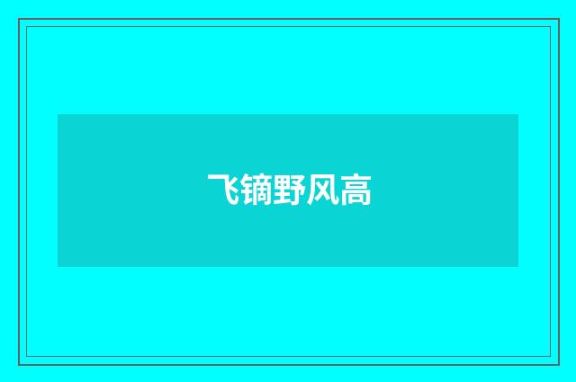 飞镝野风高