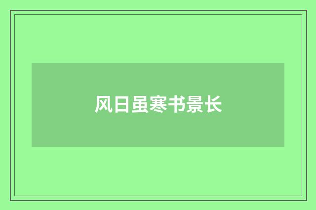 风日虽寒书景长
