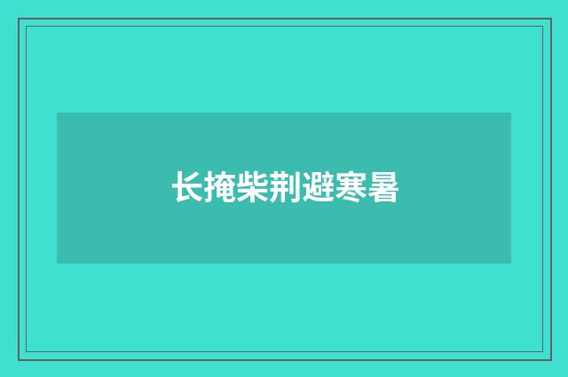 长掩柴荆避寒暑