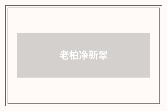 老柏净新翠