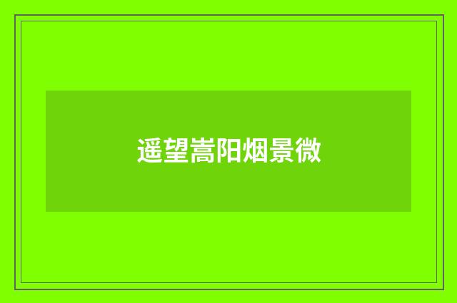 遥望嵩阳烟景微