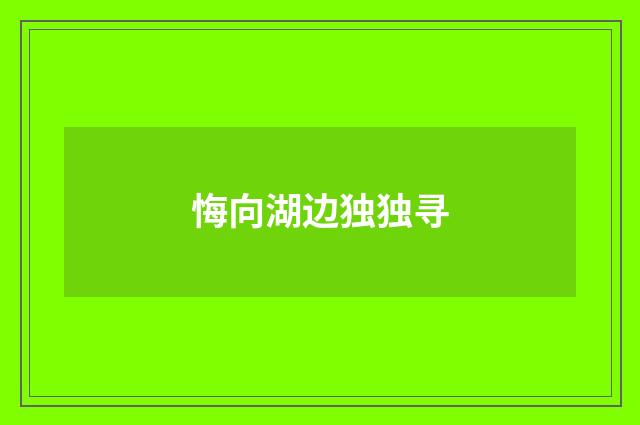悔向湖边独独寻