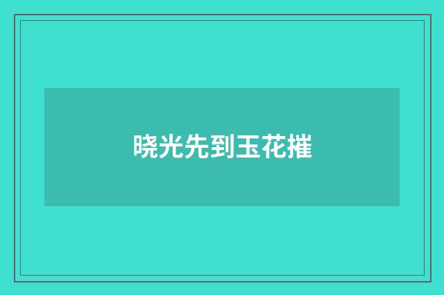 晓光先到玉花摧