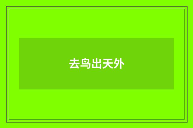 去鸟出天外