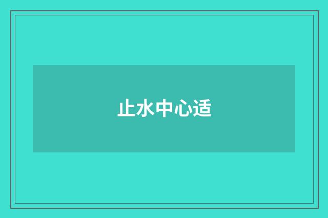 止水中心适