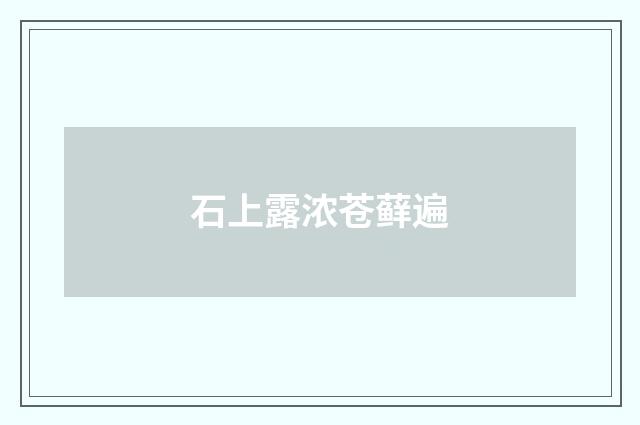 石上露浓苍藓遍