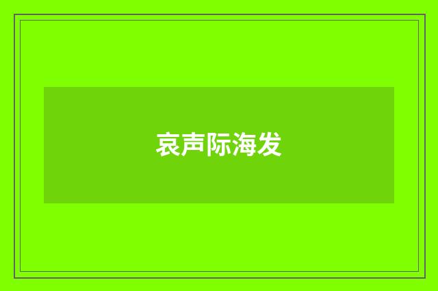 哀声际海发