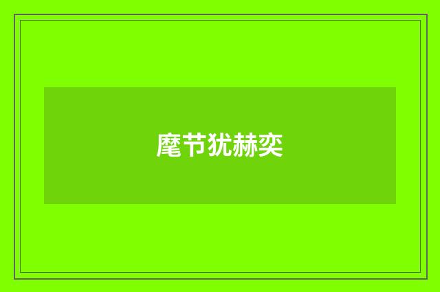 麾节犹赫奕