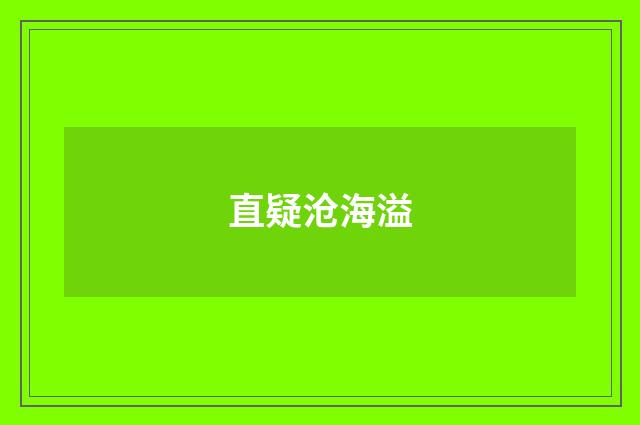 直疑沧海溢