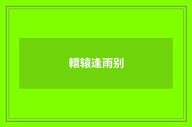 轘辕逢雨别