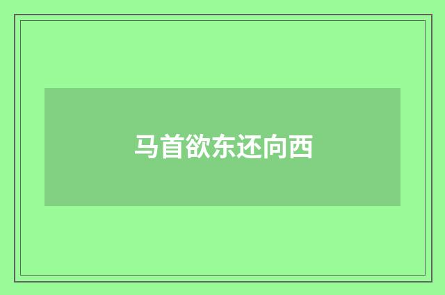 马首欲东还向西