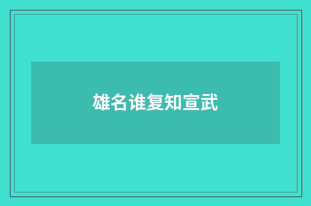 雄名谁复知宣武