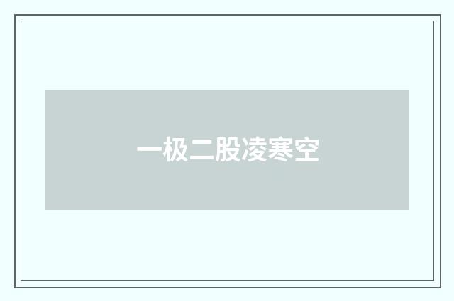 一极二股凌寒空