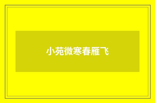 小苑微寒春雁飞