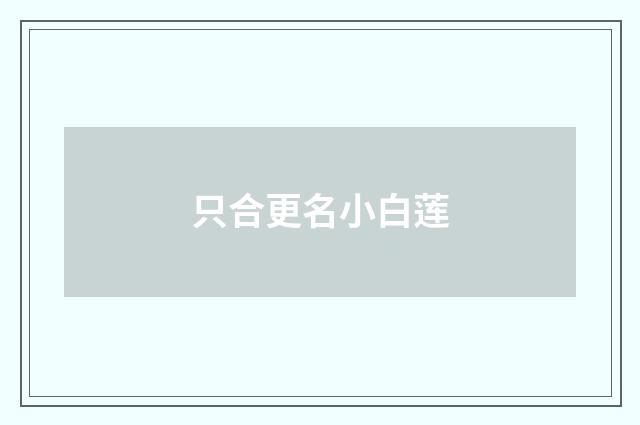 只合更名小白莲