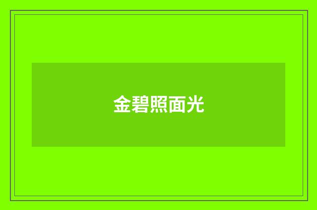 金碧照面光