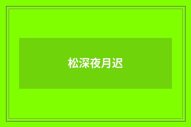 松深夜月迟