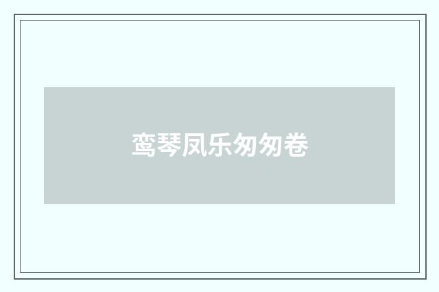 鸾琴凤乐匆匆卷