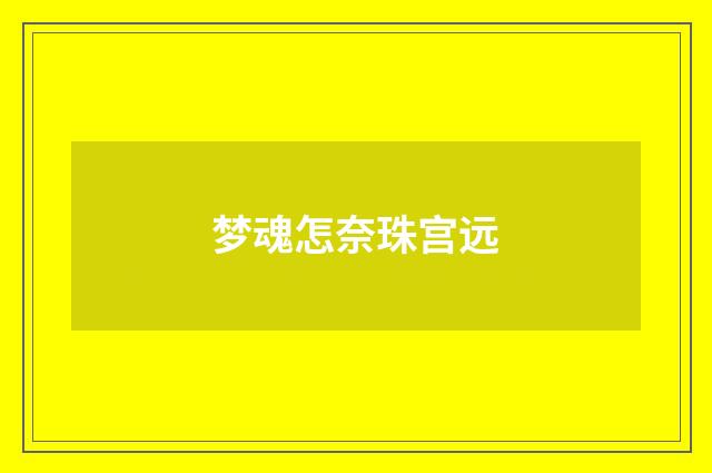 梦魂怎奈珠宫远