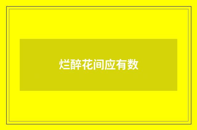 烂醉花间应有数