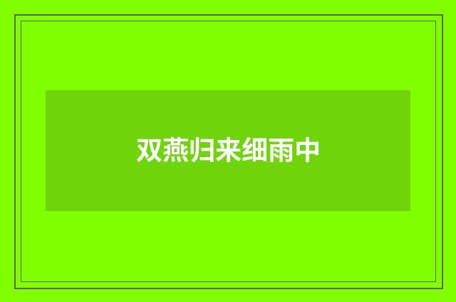 双燕归来细雨中