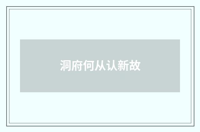 洞府何从认新故
