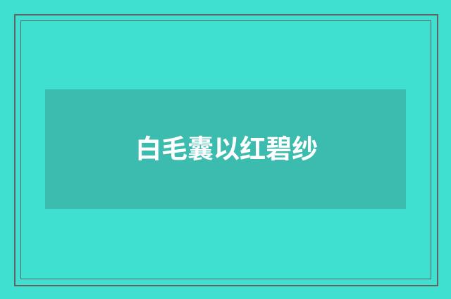 白毛囊以红碧纱