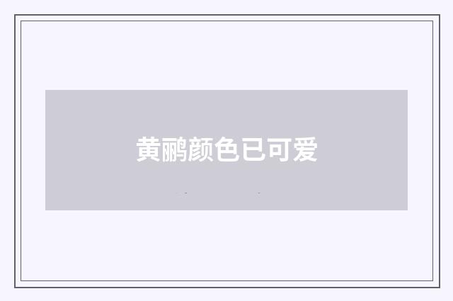 黄鹂颜色已可爱