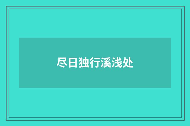 尽日独行溪浅处