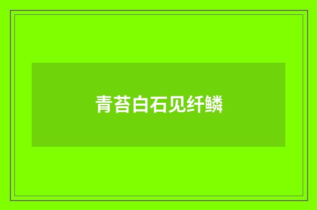 青苔白石见纤鳞
